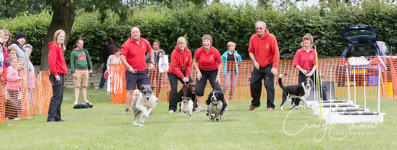 939_HuddsBarkinthePark2013_bluplanetphoto__D8Q6126-Edit