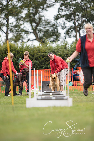 47_HuddsBarkinthePark2013_bluplanetphoto_ED8Q5413