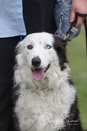 1205_HuddsBarkinthePark2013_bluplanetphoto__D8Q6313-Edit