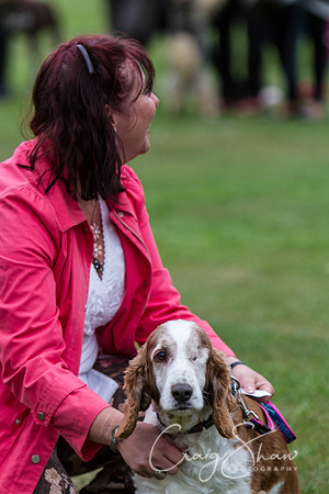 2613_HuddsBarkinthePark2013_bluplanetphoto_IMG_1171