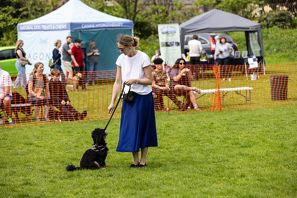 2366_HebdensHappyHounds2024_Cshaw-