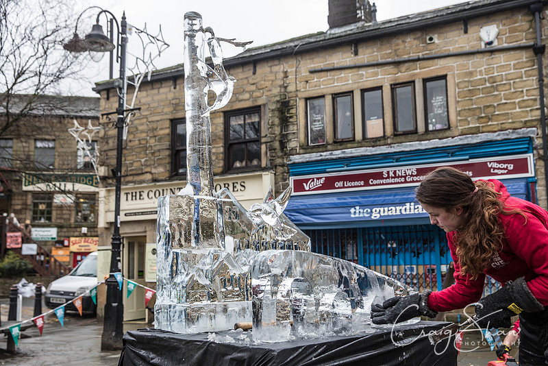 118_HebdenHummingbirdsIceCarve_Jan2016_craigshaw