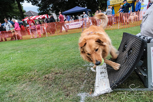 3045_HuddsBarkinthePark2013_bluplanetphoto_ED8Q7787