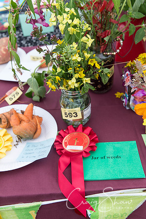 010_BlackshawFete2013_bluplanetphoto