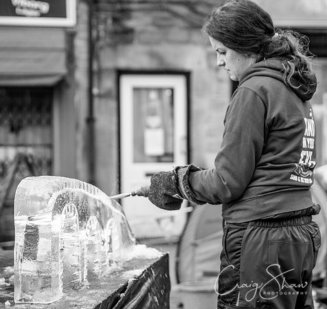 158_HebdenHummingbirdsIceCarve_Jan2016_craigshaw