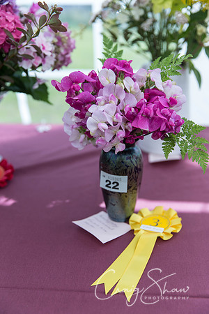 020_BlackshawFete2013_bluplanetphoto