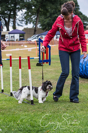 673_HuddsBarkinthePark2013_bluplanetphoto__D8Q5968