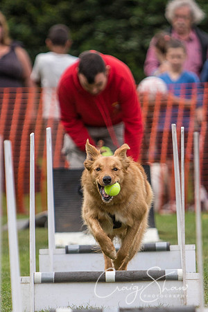 352_HuddsBarkinthePark2013_bluplanetphoto_ED8Q5717