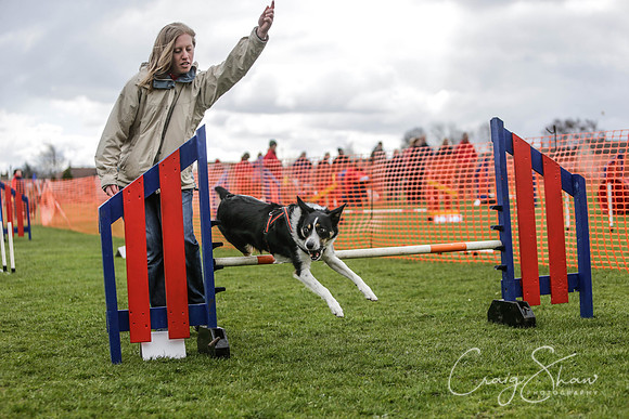 285__SpringersFunDay_March2014_bluplanetphoto