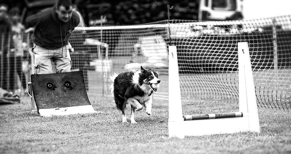 401_HuddsBarkinthePark2013_bluplanetphoto_ED8Q5764-Edit