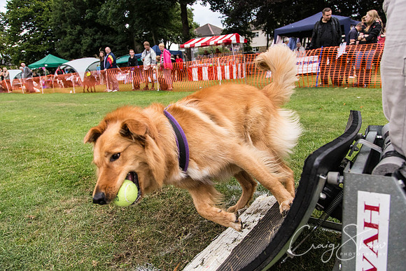 2997_HuddsBarkinthePark2013_bluplanetphoto_ED8Q7739
