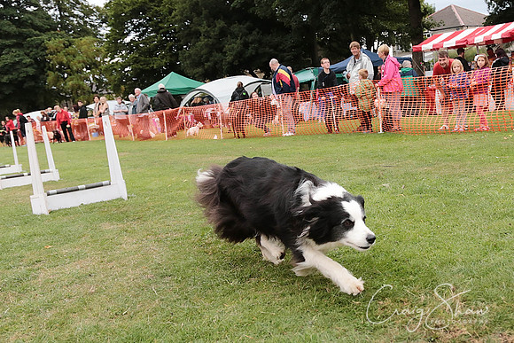 3063_HuddsBarkinthePark2013_bluplanetphoto_ED8Q7805-Edit