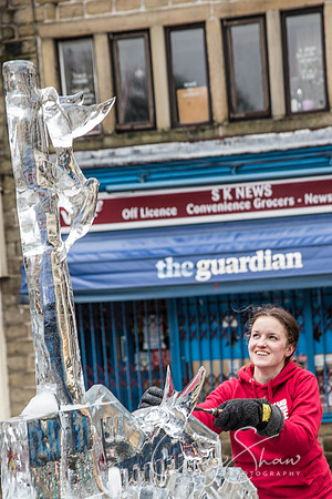 127_HebdenHummingbirdsIceCarve_Jan2016_craigshaw