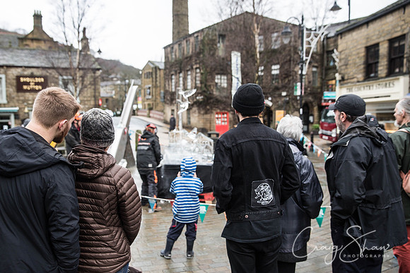 56_HebdenHummingbirdsIceCarve_Jan2016_craigshaw