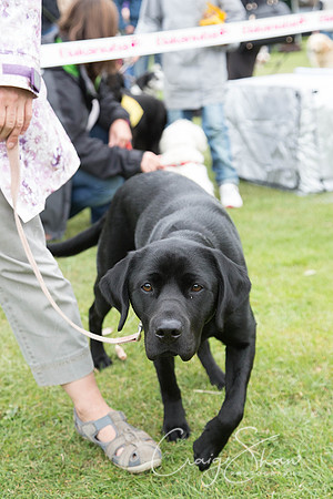 2441_HuddsBarkinthePark2013_bluplanetphoto__D8Q7250-Edit