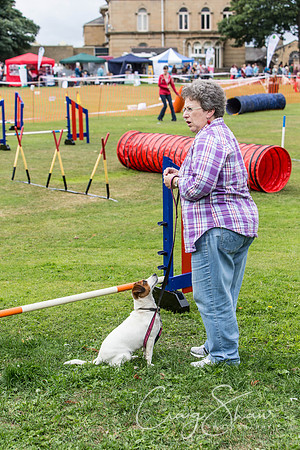 680_HuddsBarkinthePark2013_bluplanetphoto__D8Q5975