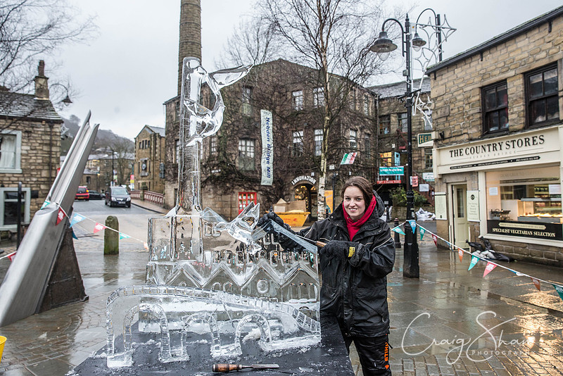178_HebdenHummingbirdsIceCarve_Jan2016_craigshaw