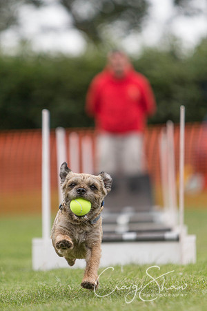 154_HuddsBarkinthePark2013_bluplanetphoto_ED8Q5519