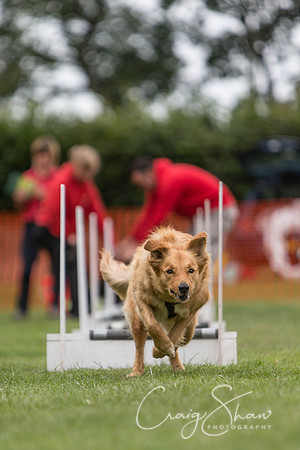 58_HuddsBarkinthePark2013_bluplanetphoto_ED8Q5424