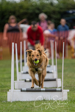 354_HuddsBarkinthePark2013_bluplanetphoto_ED8Q5719