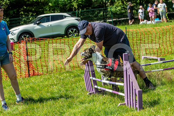 1522__PAWSFundogShow_July2022_cshaw