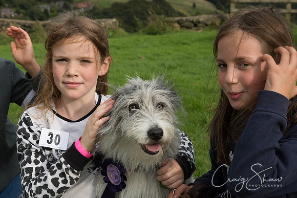 1816_Woofstock2016_craigshaw