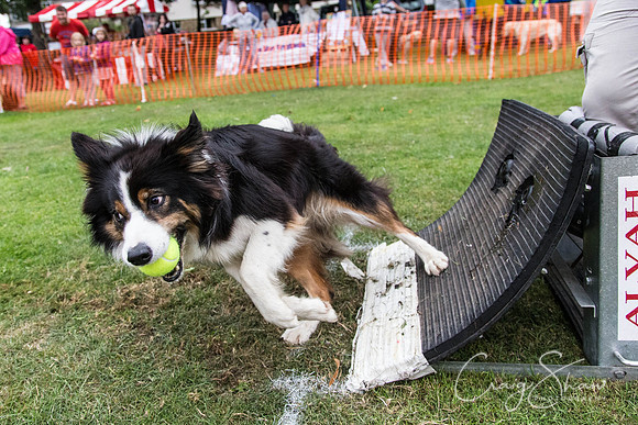 3026_HuddsBarkinthePark2013_bluplanetphoto_ED8Q7768
