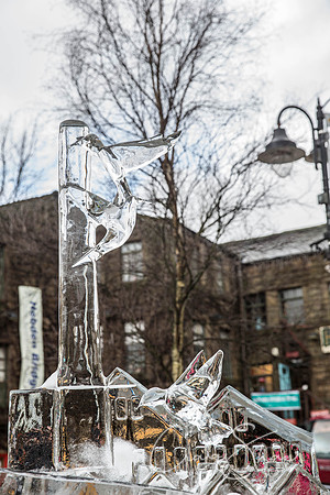 84_HebdenHummingbirdsIceCarve_Jan2016_craigshaw