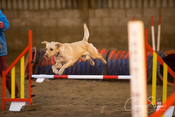 119_springfling2015_bluplanetphoto