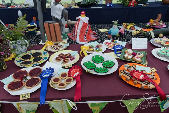 012_BlackshawFete2013_bluplanetphoto