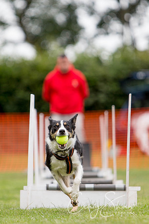 264_HuddsBarkinthePark2013_bluplanetphoto_ED8Q5629