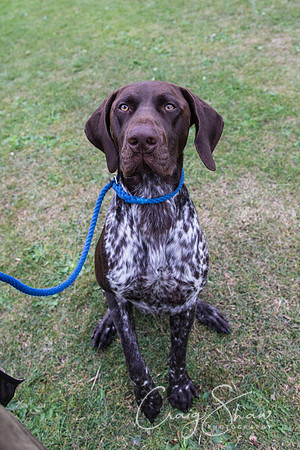 2624_HuddsBarkinthePark2013_bluplanetphoto__D8Q7373