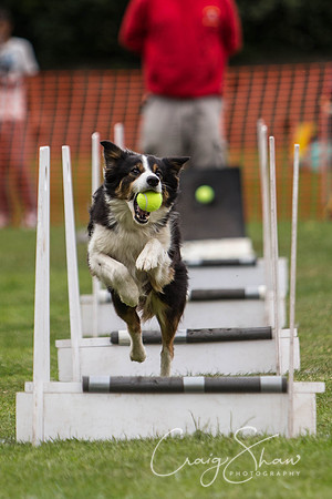 272_HuddsBarkinthePark2013_bluplanetphoto_ED8Q5637