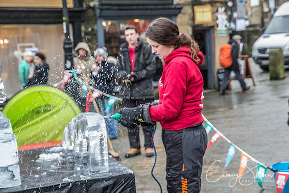 150_HebdenHummingbirdsIceCarve_Jan2016_craigshaw