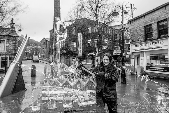 178_HebdenHummingbirdsIceCarve_Jan2016_craigshaw