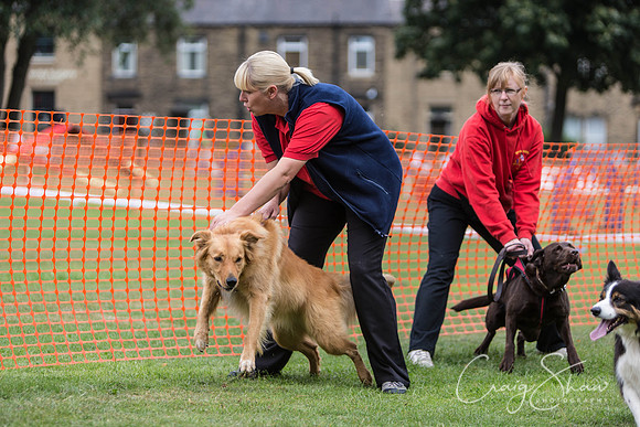 390_HuddsBarkinthePark2013_bluplanetphoto_ED8Q5753