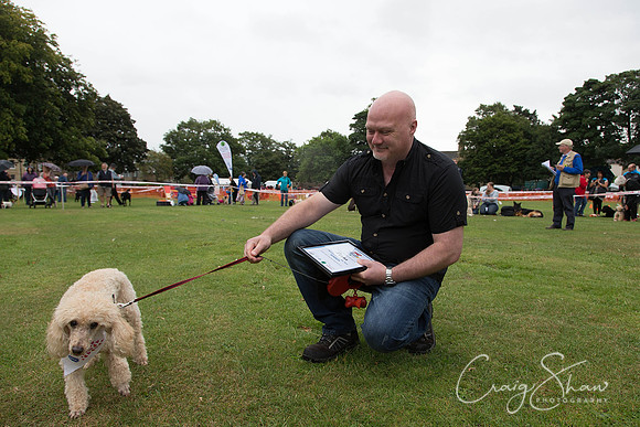 1973_HuddsBarkinthePark2013_bluplanetphoto__D8Q6910-Edit