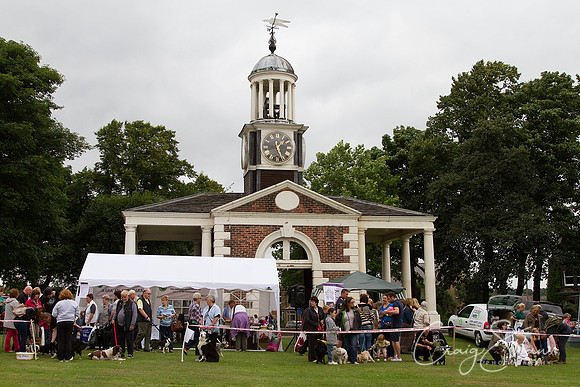 1450_HuddsBarkinthePark2013_bluplanetphoto_IMG_0885-Edit