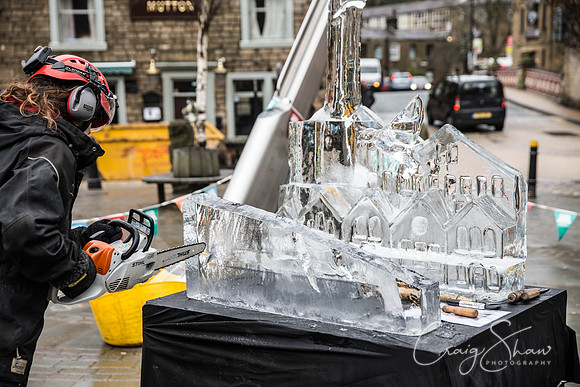 41_HebdenHummingbirdsIceCarve_Jan2016_craigshaw