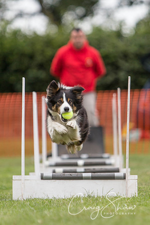 97_HuddsBarkinthePark2013_bluplanetphoto_ED8Q5462