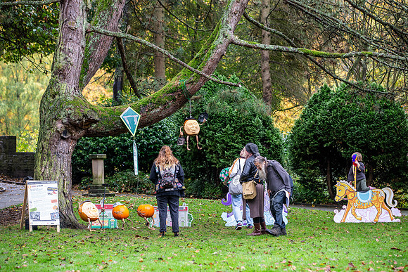 347_HebdenPumpkinTrail2024_Cshaw-