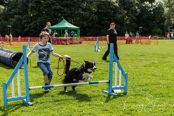 218_HebdenHappyHounds2016_bluplanetphoto