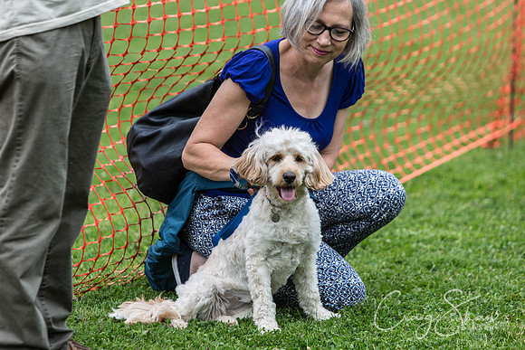 735_HebdenHappyHounds2016_bluplanetphoto