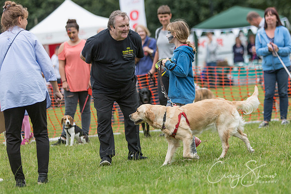 1819_WJsDogShow2016_bluplanetphoto