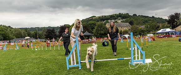 838_HebdenHappyHounds2016_bluplanetphoto