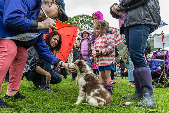 1059_ShibdenDogDayRSPCAHx_bluplanetphoto
