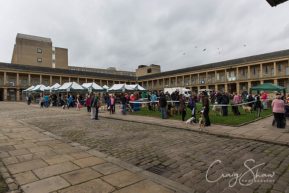 156_RSPCAK9PieceHall2013_bluplanetphoto__D8Q5468