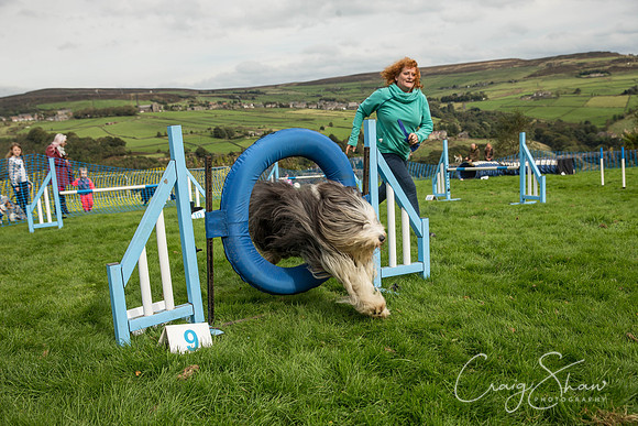 1620_Woofstock2016_craigshaw