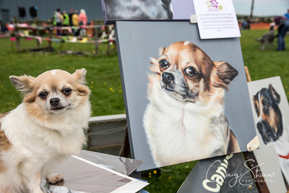1453_PAWS_FundayJuly2016_bluplanetphoto