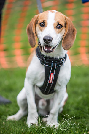 501_PAWS_FundayJuly2016_bluplanetphoto
